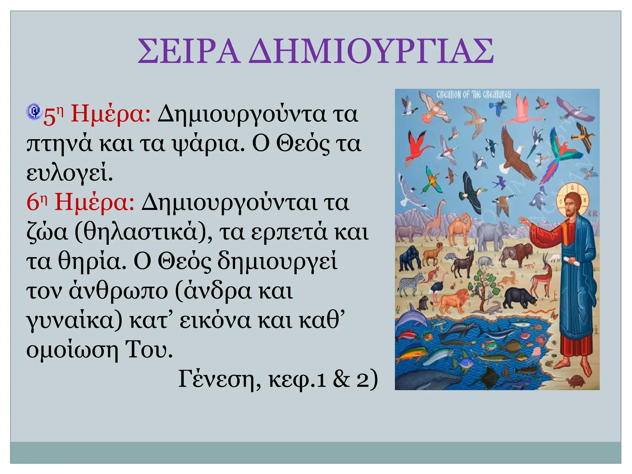 ΣΕΙΡΑ ΔΗΜΙΟΥΡΓΙΑΣ
5η
Ημέρα: Δημιουργούντα τα
πτηνά και τα ψάρια. Ο Θεός τα
ευλογεί.
6η
Ημέρα: Δημιουργούνται τα
ζώα (θηλαστικά), τα ερπετά και
τα θηρία. Ο Θεός δημιουργεί
τον άνθρωπο (άνδρα και
γυναίκα) κατ’ εικόνα και καθ’
ομοίωση Του.
Γένεση, κεφ.1 & 2)
 