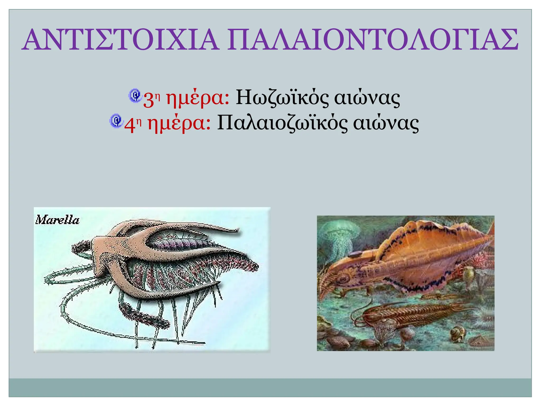 ΑΝΤΙΣΤΟΙΧΙΑ ΠΑΛΑΙΟΝΤΟΛΟΓΙΑΣ
3η ημέρα: Ηωζωϊκός αιώνας
4η ημέρα: Παλαιοζωϊκός αιώνας
 