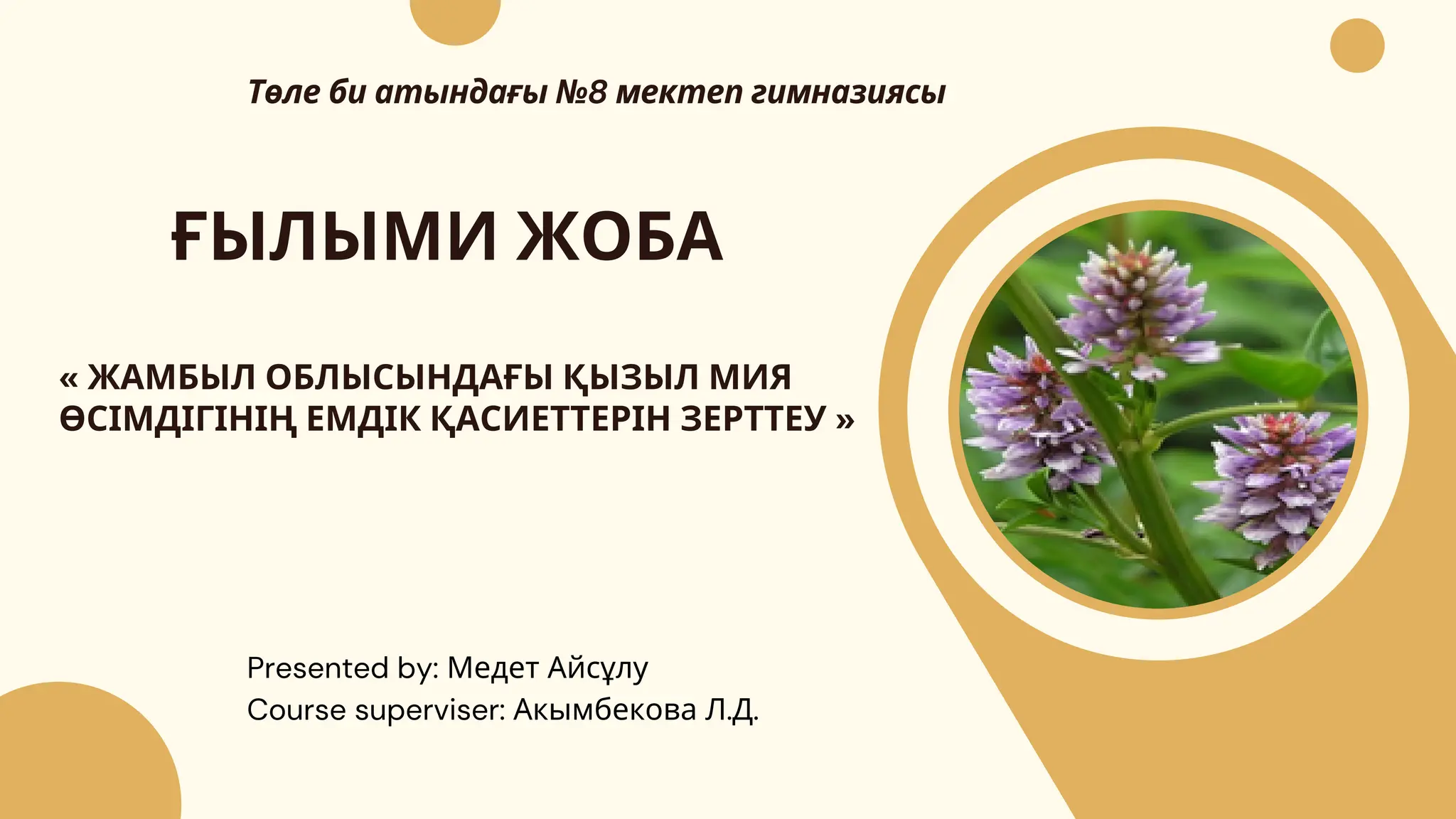 Түркімен қыздарымен жыныстық қатынас Жыныстық тәрбие беретін порнофильмдер