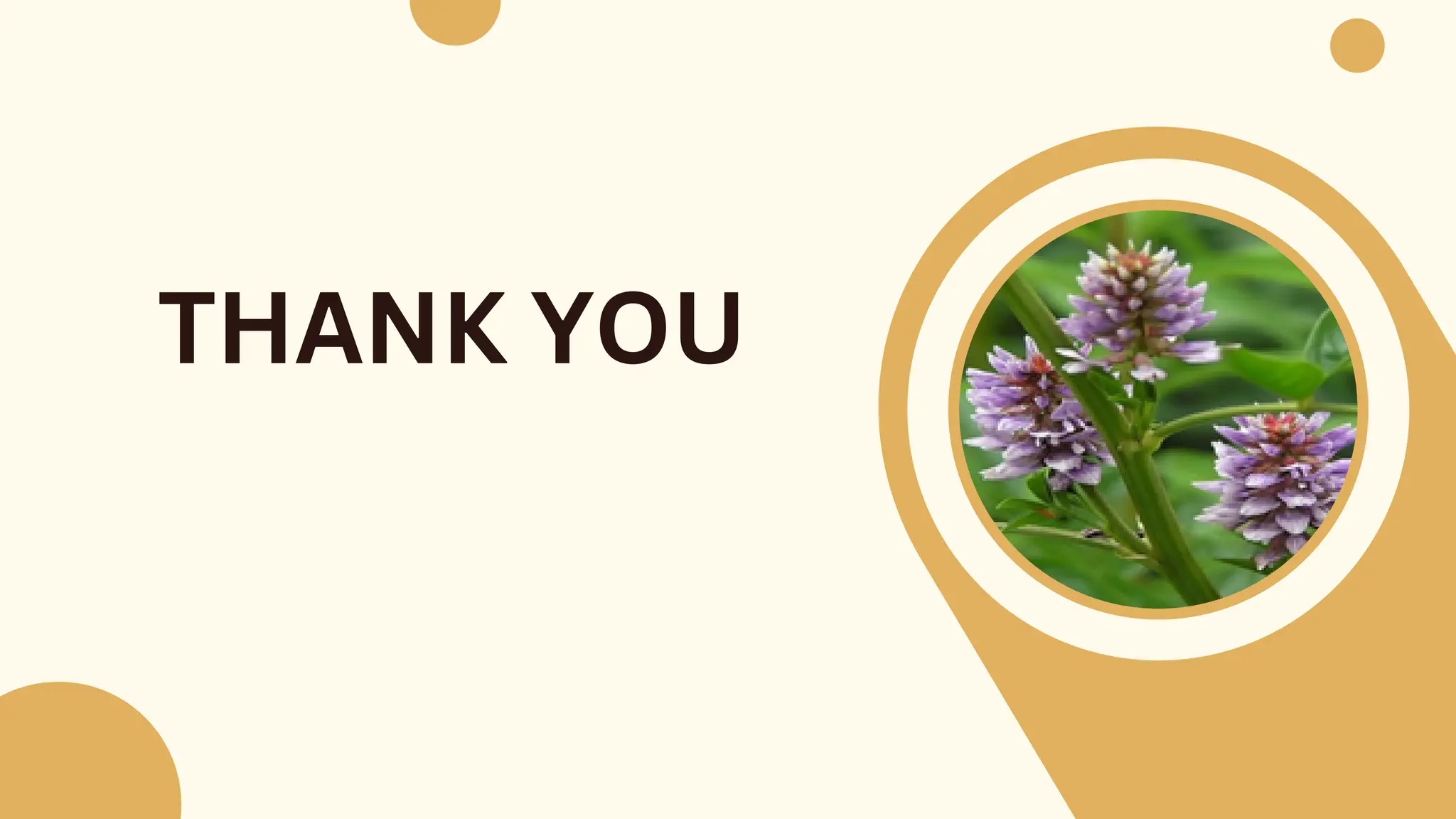 Әже немесе ата секс Қара рогон порно