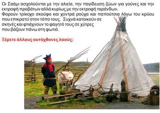 Οι Σαάμι ασχολούνται με την αλιεία, την παγίδευση ζώων για γούνες και την
εκτροφή προβάτων αλλά κυρίως με την εκτροφή ταράνδων.
Φορούν τρίκοχο σκούφο και χοντρά ρούχα και παπούτσια λόγω του κρύου
που επικρατεί στον τόπο τους. Συχνά κατοικούν σε
σκηνές και φτιάχνουν το φαγητό τους σε χύτρες
που βάζουν πάνω στη φωτιά.
Ξέρετε άλλους αυτόχθονες λαούς;
 