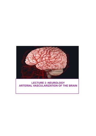 LECTURE 3 :NEUROLOGY
ARTERIAL VASCULARIZATION OF THE BRAIN
 