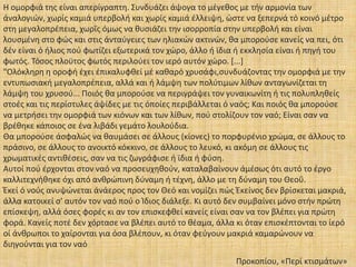 Η ομορφιά της είναι απερίγραπτη. Συνδυάζει άψογα το μέγεθος με τήν αρμονία των
άναλογιών, χωρίς καμιά υπερβολή και χωρίς καμιά έλλειψη, ώστε να ξεπερνά τό κοινό μέτρο
στη μεγαλοπρέπεια, χωρΐς όμως να θυσιάζει την ισορροπία στην υπερβολή και είναι
λουσμένη στο φώς και στις άνταύγειες των ηλιακών ακτινών, θα μπορούσε κανείς να πει, ότι
δέν είναι ό ήλιος πού φωτίζει εξωτερικά τον χώρο, άλλο ή ϊδια ή εκκλησία είναι ή πηγή του
φωτός. Τόσος πλοϋτος φωτός περιλούει τον ιερό αυτόν χώρο. [...]
"Ολόκληρη η οροφή έχει έπικαλυφθεί μέ καθαρό χρυσάφι,συνδυάζοντας την ομορφιά με την
εντυπωσιακή μεγαλοπρέπεια, αλλά και ή λάμψη των πολύτιμων λίθων ανταγωνίζεται τη
λάμψη του χρυσού... Ποιός θα μπορούσε να περιγράψει τον γυναικωνίτη ή τις πολυπληθείς
στοές και τις περίστυλες άψίδες με τις όποίες περιβάλλεται ό ναός; Και ποιός θα μπορούσε
να μετρήσει την ομορφιά των κιόνων και των λίθων, πού στολίζουν τον ναό; Είναι σαν να
βρέθηκε κάποιος σε ένα λιβάδι γεμάτο λουλούδια.
Θα μπορούσε άσφαλώς να θαυμάσει σε άλλους (κίονες) το πορφυρένιο χρώμα, σε άλλους το
πράσινο, σε άλλους το ανοικτό κόκκινο, σε άλλους το λευκό, κι ακόμη σε άλλους τις
χρωματικές αντιθέσεις, σαν να τις ζωγράφισε ή ϊδια ή φύση.
Αυτοί πού έρχονται στον ναό να προσευχηθούν, καταλαβαίνουν άμέσως ότι αυτό το έργο
καλλιτεχνήθηκε όχι από ανθρώπινη δύναμη ή τέχνη, άλλο με τη δύναμη του Θεοΰ.
Έκεί ό νούς ανυψώνεται άνάερος προς τον Θεό και νομίζει πώς Έκείνος δεν βρίσκεται μακριά,
άλλα κατοικεί σ' αυτόν τον ναό πού ο Ίδιος διάλεξε. Κι αυτό δεν συμβαίνει μόνο στήν πρώτη
επίσκεψη, αλλά όσες φορές κι αν τον επισκεφθεί κανείς είναι σαν να τον βλέπει για πρώτη
φορά. Κανείς ποτέ δεν χόρτασε να βλέπει αυτό το θέαμα, άλλα κι όταν επισκέπτονται το ίερό
οί άνθρωποι το χαίρονται για όσα βλέπουν, κι όταν φεύγουν μακριά καμαρώνουν να
διηγούνται για τον ναό
Προκοπίου, «Περί κτισμάτων»
 