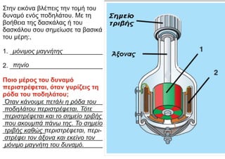 Στην εικόνα βλέπεις την τομή του
δυναμό ενός ποδηλάτου. Με τη
βοήθεια της δασκάλας ή του
δασκάλου σου σημείωσε τα βασικά
του μέρη:,
1. __________________________
2. __________________________
Ποιο μέρος του δυναμό
περιστρέφεται, όταν γυρίζεις τη
ρόδα του ποδηλάτου;
____________________________
____________________________
____________________________
____________________________
____________
____________________________
____________________________
πηνίο
μόνιμος μαγνήτης
Όταν κάνουμε πετάλι η ρόδα του
ποδηλάτου περιστρέφεται. Τότε
περιστρέφεται και το σημείο τριβής
που ακουμπά πάνω της. Το σημείο
τριβής καθώς περιστρέφεται, περι-
στρέφει τον άξονα και εκείνο τον
μόνιμο μαγνήτη του δυναμό.
 