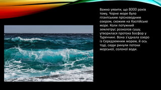 Цікаві факти про Чорне море.Тваринний та рослинний світ | PPT