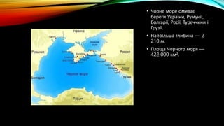 Цікаві факти про Чорне море.Тваринний та рослинний світ | PPT