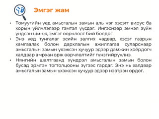 Томуу | PPT