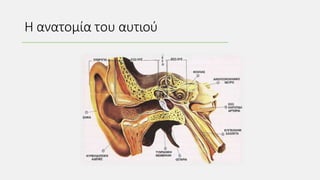 pptx pptx