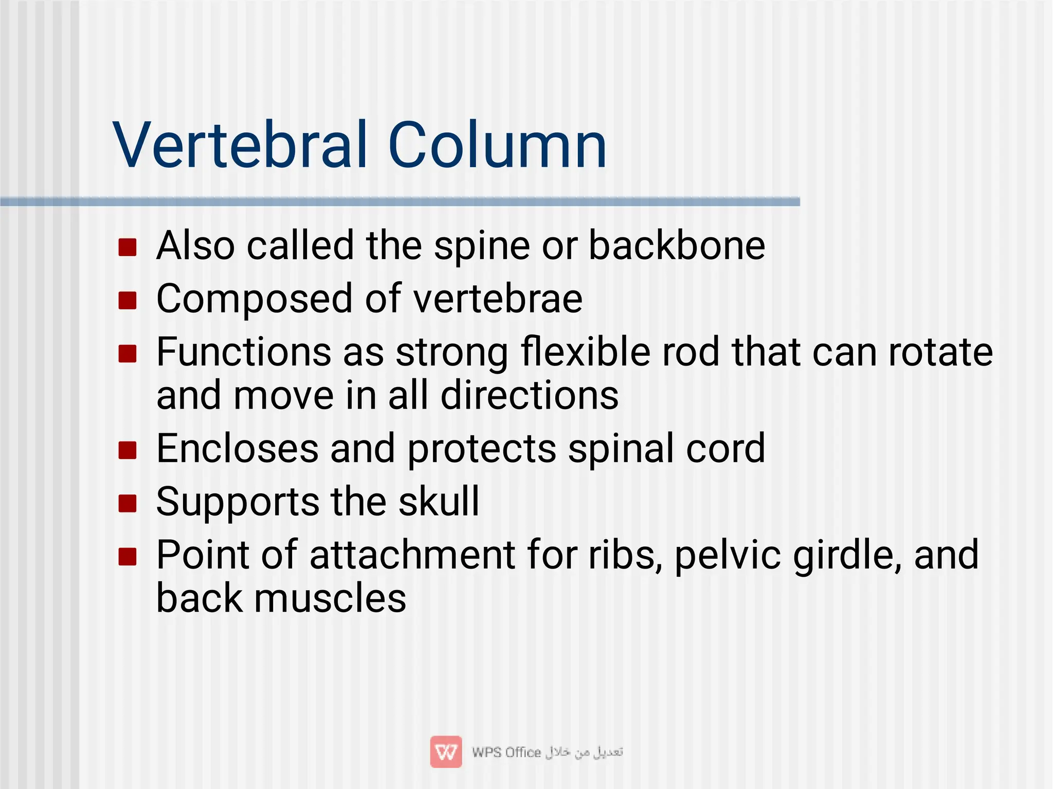 Vertebral Column






Also called the spine or backbone
Composed of vertebrae
Functions as strong ﬂexible rod that can rotate
and move in all directions
Encloses and protects spinal cord
Supports the skull
Point of attachment for ribs, pelvic girdle, and
back muscles
 