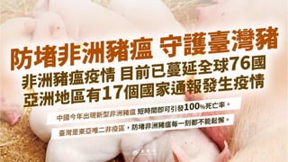 行政院會簡報：農業部簡報：「防堵非洲豬瘟 守護臺灣豬」報告