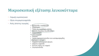 Μικροσκοπική εξέταση: λευκοκύτταρα
• Λοίμωξη ουροποιητικού
• Οξεία σπειραματονεφρίτιδα
• Αιτίες άσηπτης πυουρίας:
• Βαλανίτιδα, ουρηθρίτιδα
• Φυματίωση
• Όγκοι της ουροδόχου κύστης
• Ιογενείς λοιμώξεις (πχ αδενοϊός)
• Νεφρολιθίαση
• Ξένα σώματα
• Άσκηση
• Χρήση κορτικοστεροειδών και κυκλοφωσφαμίδης
• Εμπύρετο νόσημα
• Νεφρική σωληναριακή οξέωση
• Διάμεση νεφρίτιδα
• Κυστική νόσος του νεφρού
• Σκωληκοειδίτιδα
 