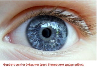 Θυμάστε γιατί οι άνθρωποι έχουν διαφορετικό χρώμα ιρίδων;
 