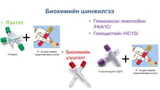 Биохимийн шинжилгээ
• Глюкозжсон гемоглобин
/HbA1C/
• Гомоцистейн /HCYS/
• Биохимийн
үзүүлэлт
• Лактат
+
 