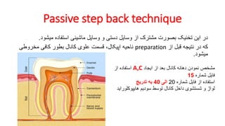 Dental anatomy of medical for students.Pdf