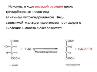Наконец, в ходе восьмой реакции цикла
трикарбоновых кислот под
влиянием митохондриальной НАД-
зависимой малатдегидрогеназы происходит о
кисление L-малата в оксалоацетат:
 