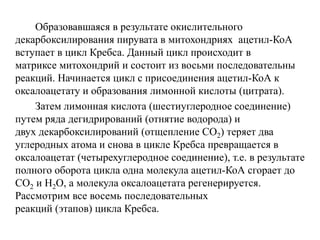 Образовавшаяся в результате окислительного
декарбоксилирования пирувата в митохондриях ацетил-КоА
вступает в цикл Кребса. Данный цикл происходит в
матриксе митохондрий и состоит из восьми последовательны
реакций. Начинается цикл с присоединения ацетил-КоА к
оксалоацетату и образования лимонной кислоты (цитрата).
Затем лимонная кислота (шестиуглеродное соединение)
путем ряда дегидрирований (отнятие водорода) и
двух декарбоксилирований (отщепление СО2) теряет два
углеродных атома и снова в цикле Кребса превращается в
оксалоацетат (четырехуглеродное соединение), т.е. в результате
полного оборота цикла одна молекула ацетил-КоА сгорает до
СО2 и Н2О, а молекула оксалоацетата регенерируется.
Рассмотрим все восемь последовательных
реакций (этапов) цикла Кребса.
 