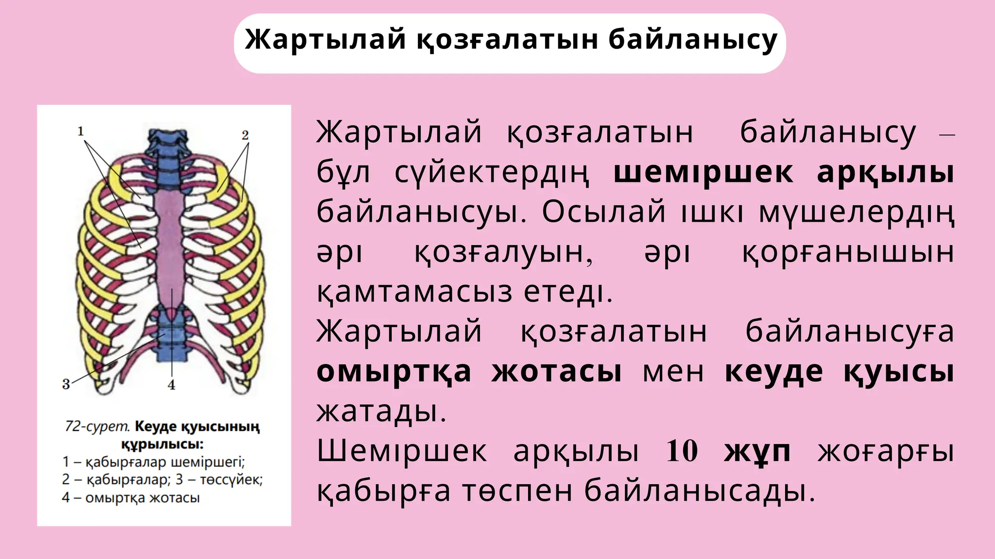 Эльдорадоға жол онлайн порно трейлерін қараңыз