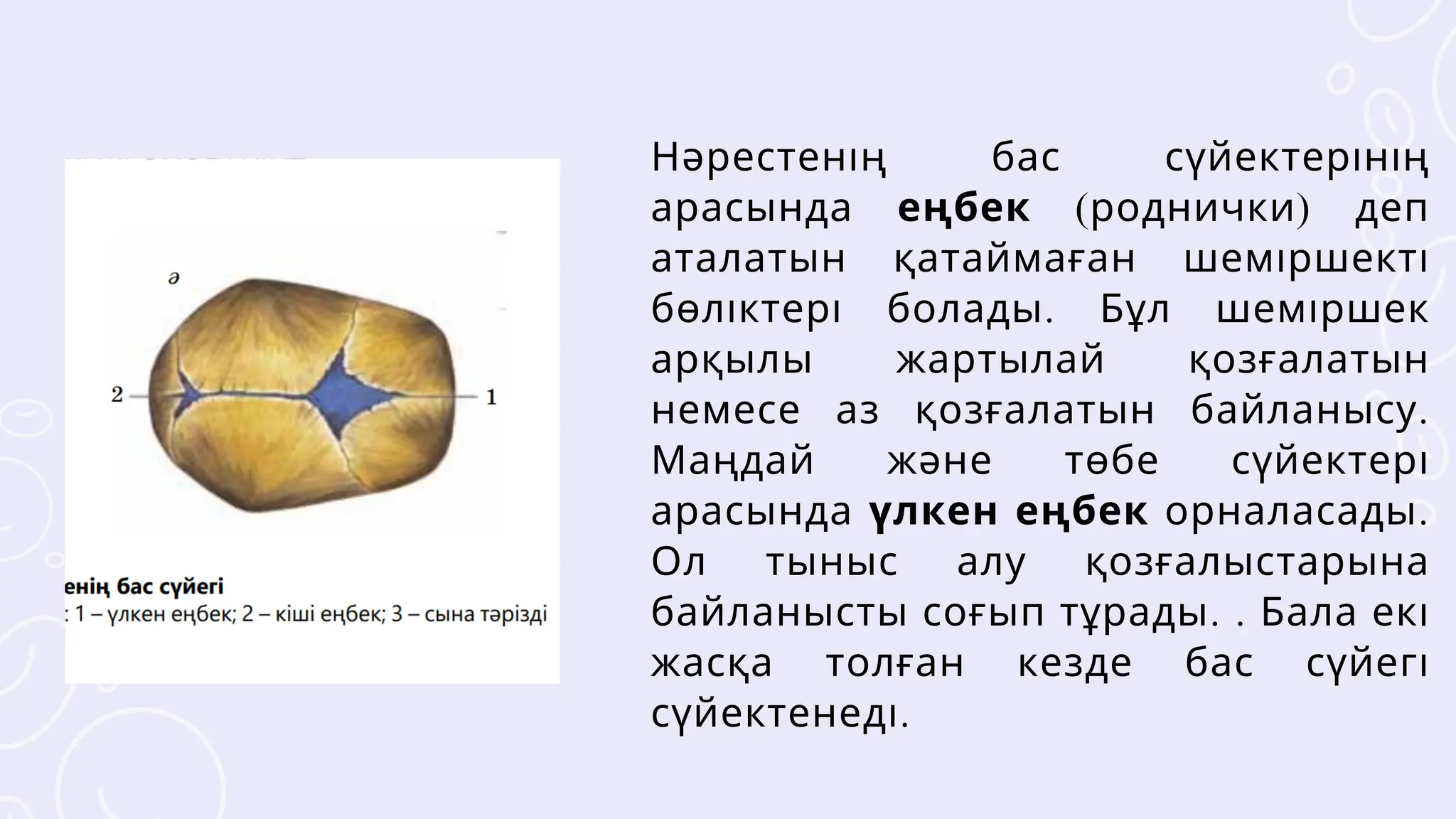 Жалаңаш стриптизші Күйеуі мен досы әйелін в жопу трахают