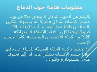 ‫الدماغ‬ ‫حول‬ ‫هامة‬ ‫معلومات‬
‫با‬
‫يتجاوز‬ ‫ال‬ ‫الدماغ‬ ‫وزن‬ ‫أن‬ ‫من‬ ‫لرغم‬
2
%
‫وزن‬ ‫من‬
‫ثال‬ ‫يستهلك‬ ‫أنه‬ ّ
‫إال‬ ‫عام‬ ٍ‫بشكل‬ ‫اإلنسان‬ ‫جسم‬
‫ثين‬
‫يعادل‬ ‫ما‬ ‫أي‬ ،‫الجسم‬ ‫هذا‬ ‫طاقة‬ ‫من‬ ‫بالمئة‬
90
‫الستهالكه‬ ‫باإلضافة‬ ،‫ساعة‬ ‫لكل‬ ‫كالوري‬ ‫كيلو‬
20
%
‫جس‬ ‫لكامل‬ ‫المخصصة‬ ‫األكسجين‬ ‫ة‬ّ‫ي‬‫كم‬ ‫من‬
‫م‬
‫اإلنسان‬
.
‫للدما‬ ‫ة‬ّ‫ي‬‫العصب‬ ‫ة‬ّ‫ي‬‫الخل‬ ‫تركيبة‬ ‫تختلف‬ ‫وال‬
‫باقي‬ ‫عن‬ ‫غ‬
،‫عام‬ ٍ‫بشكل‬ ‫اإلنسان‬ ‫جسم‬ ‫خاليا‬
‫اذ‬
‫تحتو‬ ‫ها‬ّ‫ن‬‫إ‬
‫ي‬
‫والنواة‬ ‫السيتوبالزم‬ ‫على‬
.
 
