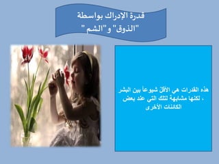 ‫بواسطة‬ ‫اك‬‫ر‬‫اإلد‬‫ة‬‫ر‬‫قد‬
"
‫ق‬‫الذو‬
"
‫و‬
"
‫الشم‬
"
‫ا‬ ‫بي‬ ‫شيوعا‬ ّ‫ل‬‫األة‬ ‫هي‬ ‫القدرات‬ ‫هذه‬
‫لبشر‬
‫عند‬ ‫التي‬ ‫لتلك‬ ‫مشابهة‬ ‫نها‬ ‫ل‬ ،
‫بعض‬
‫األخرى‬ ‫ائنات‬ ‫ال‬
 