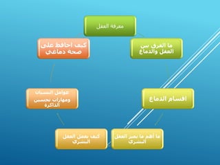 ‫العقل‬ ‫معرفة‬
‫بين‬ ‫الفرق‬ ‫ما‬
‫والدماغ‬ ‫العقل‬
‫الدماغ‬ ‫اقسام‬
‫العقل‬ ‫يميز‬ ‫ما‬ ‫أهم‬ ‫ما‬
‫البشري‬
‫كيف‬
‫العقل‬ ‫يعمل‬
‫البشري‬
‫النسيان‬ ‫عوامل‬
‫تحسين‬ ‫ومهارات‬
‫الذاكرة‬
‫على‬ ‫احافظ‬ ‫كيف‬
‫دماغي‬ ‫صحة‬
 