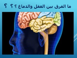 ‫؟‬ ‫والدماغ‬ ‫العقل‬ ‫بين‬ ‫الفرق‬ ‫ما‬
‫؟‬
‫؟‬
 