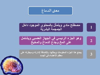 ‫معنى‬
‫الدماغ‬
‫داخل‬ ‫الموجود‬ ‫بالمحتوى‬ ‫ويتمثل‬ ‫مادي‬ ‫مصطلح‬
‫ة‬ّ‫ي‬‫البشر‬ ‫الجمجمة‬
‫وي‬ ‫العصبي‬ ‫الجهاز‬ ‫في‬ ‫الرئيسي‬ ‫الجزء‬ ‫وهو‬
‫ش‬
‫تمل‬
‫والمخيخ‬ ‫الدماغ‬ ‫وجذع‬ ‫المخ‬ ‫على‬
‫وسيطر‬ ‫إلدارته‬ ‫باإلضافة‬ ،‫لها‬ّ‫ل‬‫ويح‬ ‫المعلومات‬ ‫الجزء‬ ‫هذا‬ ‫ع‬ّ‫م‬‫يج‬
‫على‬ ‫ته‬
‫الجسد‬ ‫في‬ ‫األعضاء‬ ‫معظم‬
1
2
3
 