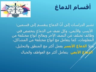 ‫الدماغ‬ ‫أقسام‬
‫قسمين‬ ‫إلى‬ ‫ينقسم‬ ‫الدماع‬ ّ‫ن‬‫أ‬ ‫إلى‬ ‫الدراسات‬ ‫تشير‬
:
‫في‬ ‫يتخصص‬ ‫الدماغ‬ ‫من‬ ‫نصف‬ ‫وكل‬ ،‫واأليمن‬ ،‫األيسر‬
‫م‬ ‫مختلفة‬ ‫أنواع‬ ‫ويعالج‬ ‫اآلخر‬ ‫النصف‬ ‫عن‬ ‫تختلف‬ ‫وظائف‬
‫ن‬
،‫المشاكل‬ ‫من‬ ‫مختلفة‬ ‫أنواع‬ ‫مع‬ ‫يتعامل‬ ‫كما‬ ،‫المعلومات‬
‫مثال‬
‫األيسر‬ ‫الدماغ‬
‫والتحلي‬ ‫المنطق‬ ‫مع‬ ‫أكثر‬ ‫يعمل‬
،‫ل‬
‫األيمن‬ ‫الدماغ‬
‫والخيال‬ ‫العواطف‬ ‫مع‬ ‫أكثر‬ ‫يتعامل‬
 