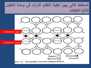Common Layer
Common Layer
 