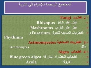 
2
‫الفطريات‬
Fungi

‫الخبز‬ ‫عفن‬ ‫فطر‬
Rhizopus

‫الغراب‬ ‫عش‬ ‫فطر‬
Mashrooms

‫للذبول‬ ‫المسببة‬ ‫الفطريات‬
Fusarium
‫و‬
Phythium

3
‫الشعاعية‬ ‫الفطريات‬
Actinomycetes
‫مثل‬
Stroptomyces

4
‫الطحالب‬
Algea

‫المزرقة‬ ‫الخضراء‬ ‫الطحالب‬
Blue green Algea

‫االزوال‬
Azola
 