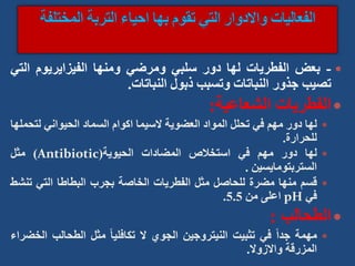 
-
‫بعض‬
‫الفطريات‬
‫لها‬
‫دور‬
‫سلبي‬
‫ومرضي‬
‫ومنها‬
‫الفيزايريوم‬
‫الت‬
‫ي‬
‫تصيب‬
‫جذور‬
‫النباتات‬
‫وتسبب‬
‫ذبول‬
‫النباتات‬
.

‫الفطريات‬
‫الشعاعية‬
:

‫لها‬
‫دور‬
‫مهم‬
‫في‬
‫تحلل‬
‫المواد‬
‫العضوية‬
‫السيما‬
‫اكوام‬
‫السماد‬
‫الحيواني‬
‫لت‬
‫حملها‬
‫للحرارة‬
.

‫لها‬
‫دور‬
‫مهم‬
‫في‬
‫استخالص‬
‫المضادات‬
‫الحيوية‬
(
Antibiotic
)
‫مثل‬
‫الستربتومايسين‬
.

‫قسم‬
‫منها‬
‫مضرة‬
‫للحاصل‬
‫مثل‬
‫الفطريات‬
‫الخاصة‬
‫بجرب‬
‫البطاطا‬
‫التي‬
‫ت‬
‫نشط‬
‫في‬
pH
‫اعلى‬
‫من‬
5.5
.

‫الطحالب‬
:

‫مهمة‬
ً‫ا‬‫جد‬
‫في‬
‫تثبيت‬
‫النيتروجين‬
‫الجوي‬
‫ال‬
ً‫ا‬‫تكافلي‬
‫مثل‬
‫الطحالب‬
‫ا‬
‫لخضراء‬
‫المزرقة‬
‫واالزوال‬
.
 