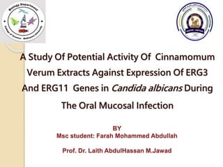 BY
Msc student: Farah Mohammed Abdullah
Prof. Dr. Laith AbdulHassan M.Jawad
A Study Of Potential Activity Of Cinnamomum
Verum Extracts Against Expression Of ERG3
And ERG11 Genes in Candida albicans During
The Oral Mucosal Infection
 