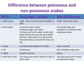 Difference between poisonous and
non-poisonous snakes
Points Poisonous snakes Non Poisonous
1. Belly scales Large : They cover the entire breadth of
belly
Small : They never cover
2. Head scales a) Usually small in vipers
b) May be large in pit vipers
c) Cobras and Coral snakes where third
labial touches the eye and nasal shields
d) Kraits ,where there is no pit and the
third labial does not touch the nose and
eye
Are usually large with
exceptions as outlined under
poisonous snakes
3. Fangs Are hollow like hypodermic needle Short and solid
4. Tail Compressed Not markedly compressed
5. Habits Usually nocturnal Not so
6. Teeth bite marks Two fang marks with or without marks of
other teeth
Two fang marks with number
of small teeth marks
 