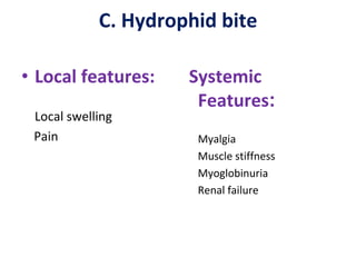 C. Hydrophid bite
• Local features:
Local swelling
Pain
Systemic
Features:
Myalgia
Muscle stiffness
Myoglobinuria
Renal failure
 