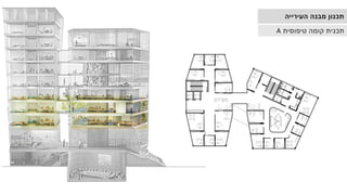 ‫העירייה‬ ‫מבנה‬ ‫תכנון‬
‫טיפוסית‬ ‫קומה‬ ‫תכנית‬
A
 