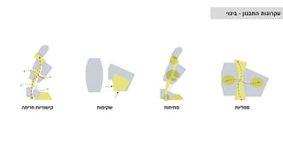 ‫סמליות‬
‫פתיחות‬
‫שקיפות‬
‫וזרימה‬ ‫קישוריות‬
‫התכנון‬ ‫עקרונות‬
-
‫בינוי‬
 