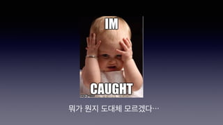 뭐가 뭔지 도대체 모르겠다⋯
 