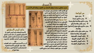 ‫األ‬‫الى‬‫لها‬‫ونق‬ ‫العقود‬‫من‬ ‫االحمال‬‫استقبال‬‫هدفه‬ ‫انشائي‬‫عنصر‬
‫ساس‬
.
‫األعمدة‬
:
‫أنواعها‬‫من‬
:
❖
‫مربع‬ ‫بدن‬
.
❖
‫مبسط‬ ‫دائري‬ ‫بدن‬
.
❖
‫مب‬ ‫وتاج‬ ‫اعدة‬‫بق‬ ‫دائري‬ ‫بدن‬
‫سط‬
.
❖
‫وتاج‬ ‫اعدة‬‫بق‬ ‫مثمن‬ ‫بدن‬
.
❖
‫مورق‬ ‫وتاج‬ ‫دائري‬ ‫بدن‬
(
‫اندلس‬
‫ي‬
)
‫اعدة‬‫وق‬
.
❖
‫حطتين‬‫ذات‬ ‫وتاج‬ ‫مثمن‬ ‫بدن‬
‫من‬
‫مثمنة‬ ‫اعدة‬‫وق‬ ‫المقرصنات‬
.
❖
‫التيجان‬‫ذات‬
‫الكورنثية‬
.
❖
‫االيونية‬‫التيجان‬‫ذات‬
.
❖
‫التيجان‬‫ذات‬
‫الناقوسية‬
.
❖
‫المقرصنة‬‫التيجان‬‫ذات‬
.
‫االسطواني‬‫البدن‬‫ذات‬
‫أو‬‫المثمن‬‫البدن‬‫ذات‬ ‫المضلعة‬‫األعمدة‬
‫الحلزوني‬‫األسطواني‬
‫المح‬‫البدن‬‫ذات‬ ‫أو‬
‫لي‬
‫المثمن‬‫العمود‬‫استخدام‬‫شاع‬ ‫بالجفوت‬
‫بالعمارة‬
‫ي‬ ‫كما‬ ،‫اهرة‬‫بالق‬ ‫المساجد‬‫وبعض‬‫القديمة‬
‫وجد‬
‫نوع‬
،‫القنوات‬‫ذات‬ ‫العمود‬‫وهو‬ ‫األعمدة‬‫من‬ ‫آخر‬
‫عرف‬ ‫ولقد‬
‫الخشبي‬‫األعمدة‬‫انيون‬‫ر‬‫اإلي‬
‫ة‬
‫المزين‬‫المضلع‬‫والبدن‬ ‫المذهبة‬
‫اي‬‫ر‬‫بم‬
‫على‬ ‫ا‬
‫معينات‬ ‫هيئة‬
.
‫ل‬ ‫ليس‬ ‫مربع‬ ‫بدن‬ ‫عن‬ ‫عبارة‬ ‫كانت‬ ‫القديم‬‫في‬
‫ه‬
‫دائري‬ ‫أصبح‬‫ف‬ ‫البدن‬‫تطور‬ ‫ثم‬ ‫اعدة‬‫ق‬ ‫أو‬‫تاج‬
‫جذوع‬‫من‬‫فكرته‬ ‫أخذت‬‫الدائري‬‫البدن‬‫وهذا‬
‫النخيل‬
‫ثالث‬ ‫من‬‫يتكون‬ ‫المعمارية‬‫الناحية‬‫من‬
‫ة‬
‫رئيسية‬ ‫اء‬‫ز‬‫اج‬
:
‫ثم‬ ‫البدن‬‫ثم‬ ‫اعدة‬‫الق‬‫وهي‬
‫التاج‬‫استعمال‬‫تم‬ ‫مصر‬ ‫وفي‬ ‫التاج‬
‫الناقوصي‬
‫و‬ ‫التيجان‬‫استعمال‬‫وتم‬ ‫المقرنص‬‫والتاج‬
‫القواعد‬
‫الناقوصيه‬
‫اما‬‫المملوكي‬‫العصر‬‫في‬
‫في‬ ‫استعمل‬‫قد‬ ‫المقرنص‬‫التاج‬
‫العماره‬
‫السلجوقيه‬
‫عل‬ ‫االعمدة‬‫يوجد‬ ‫كما‬
‫ي‬
‫جانبي‬
‫قوصره‬
‫طبلي‬ ‫التاج‬‫فوق‬‫يوضع‬ ‫وعاده‬‫مدخل‬
‫ة‬
‫بجهد‬ ‫االحمال‬‫توزيع‬ ‫يتم‬ ‫حتى‬‫الخشب‬‫من‬
‫عل‬ ‫متساوي‬
‫ي‬
‫حاله‬‫في‬ ‫وخاصه‬‫التاج‬‫سطح‬
‫أعمده‬‫استعمال‬
‫مختلفه‬
‫يت‬ ‫وايضا‬ ‫اع‬‫االرتف‬
‫م‬
‫توضع‬ ‫خشبيه‬‫عروق‬ ‫عن‬ ‫عباره‬ ‫اوتار‬‫عمل‬
‫الطبلية‬‫فوق‬
‫الخشبيه‬
‫ا‬‫بداية‬ ‫منسوب‬ ‫في‬
‫لعقد‬
‫بين‬ ‫وتربط‬
‫االعمده‬
‫اومه‬‫المق‬
‫القوي‬
‫االفقيه‬
‫الناتجه‬
‫مصابي‬ ‫لحمل‬ ‫وكذلك‬‫العقود‬‫دفع‬ ‫من‬
‫ح‬
‫االثاره‬
.
 