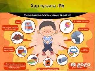 Хар тугалга -Pb
 