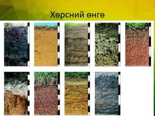 Хөрсний өнгө
 