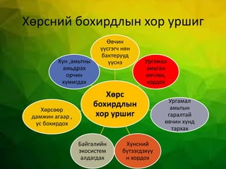 Хөрсний бохирдлын хор уршиг
Хөрс
бохирдлын
хор уршиг
Өвчин
үүсгэгч нян
бактерууд
үүснэ Ургамал
амьтан
өвчлөх,
хордох
Ургамал
амьтын
гаралтай
өвчин хүнд
тархах
Хүнсний
бүтээгдэхүү
н хордох
Байгалийн
экосистем
алдагдах
Хөрсөөр
дамжин агаар ,
ус бохирдох
Хүн ,амьтны
амьдрах
орчин
хумигдах
 