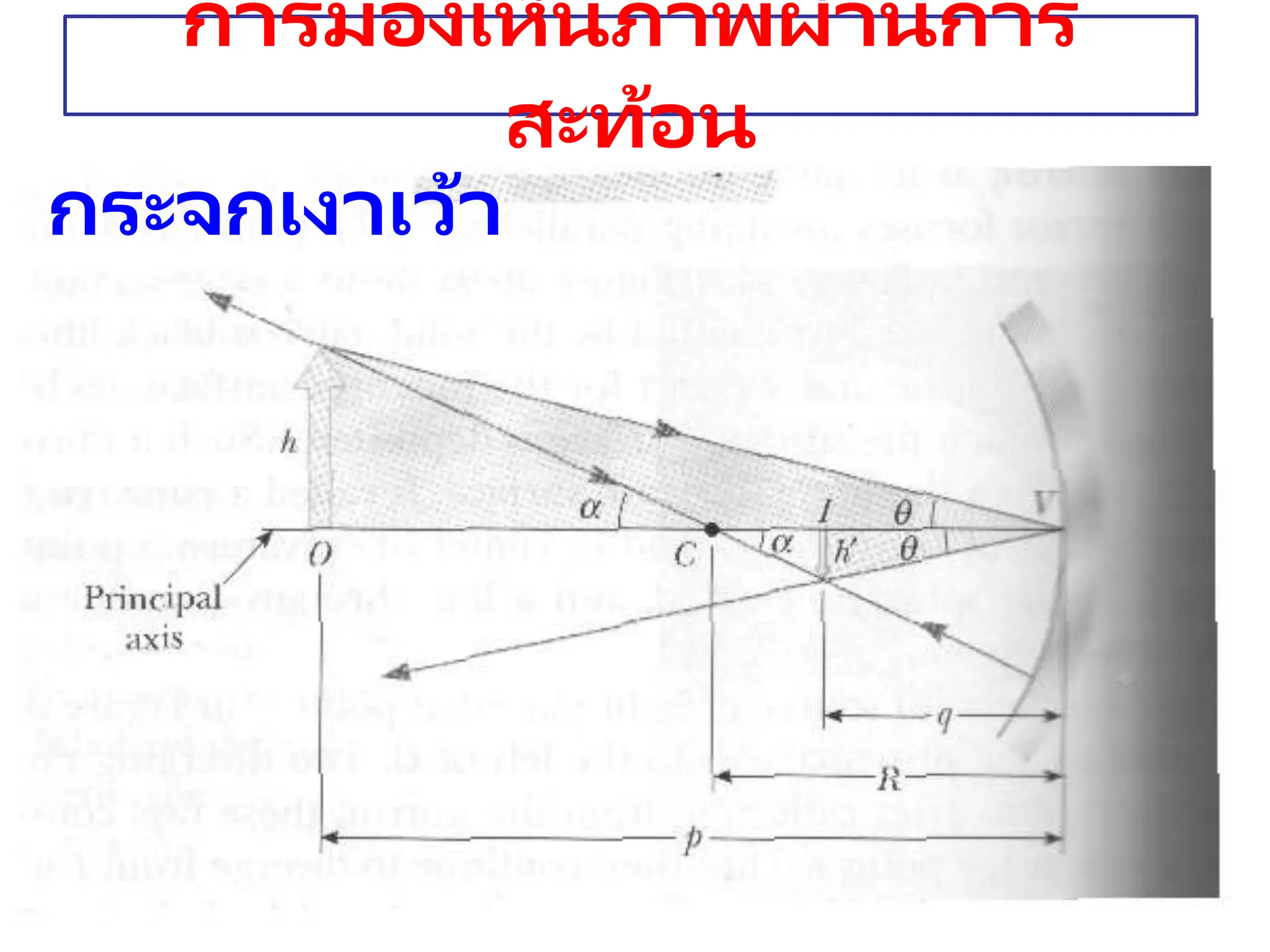 การมองเห็นภาพผ่านการ
สะท้อน
กระจกเงาเว้า
 
