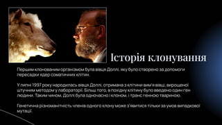 Клонування організмів. Презентація з біології | PPT