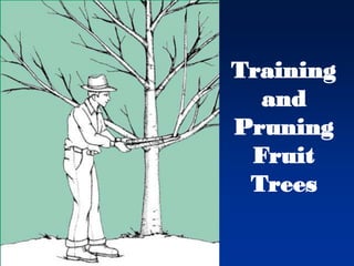 تربية وتقليم أشجار الفاكهة.Training and Pruning Fruit Trees | PDF
