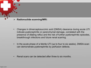 محاضرة باللغة العربية انتانات الجهاز البولي.ppt