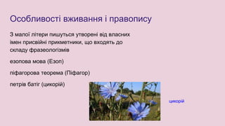 Особливості вживання і правопису
З малої літери пишуться утворені від власних
імен присвійні прикметники, що входять до
складу фразеологізмів
езопова мова (Езоп)
піфагорова теорема (Піфагор)
петрів батіг (цикорій)
цикорій
 