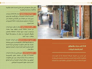 اقتصاد البيانات ودوره في تعزيز الأنظمة الاقتصادية العربية