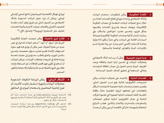 اقتصاد البيانات ودوره في تعزيز الأنظمة الاقتصادية العربية