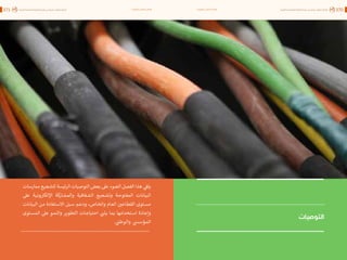 اقتصاد البيانات ودوره في تعزيز الأنظمة الاقتصادية العربية