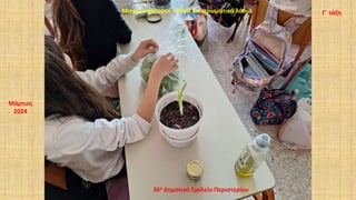Μάρτιος
2024
36ο Δημοτικό Σχολείο Περιστερίου
Μικροί κηπουροί - Φυτά και αρωματικά λάδια Γ΄ τάξη
 